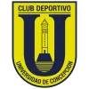 Universidad de Concepcion
